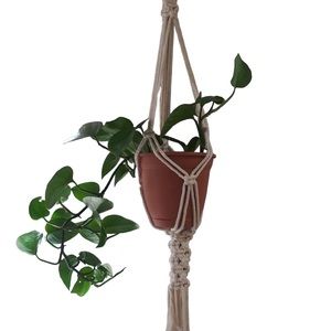 Hanging Macrame Plant Holder